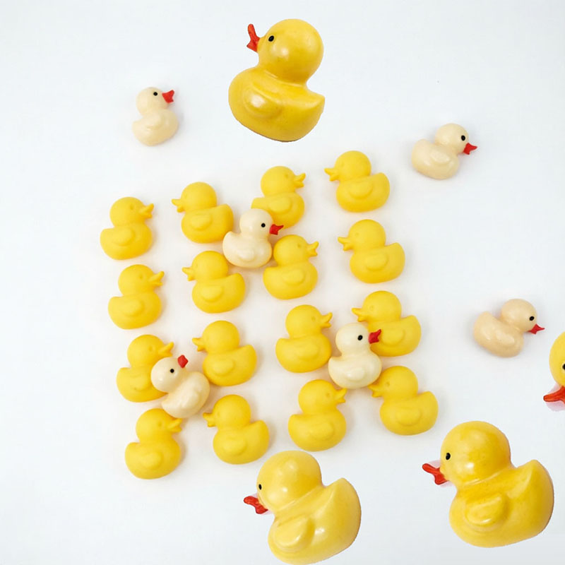 3D-Enten-Silikonform für Seife – Soap Making Instructions Bewertung und Preis